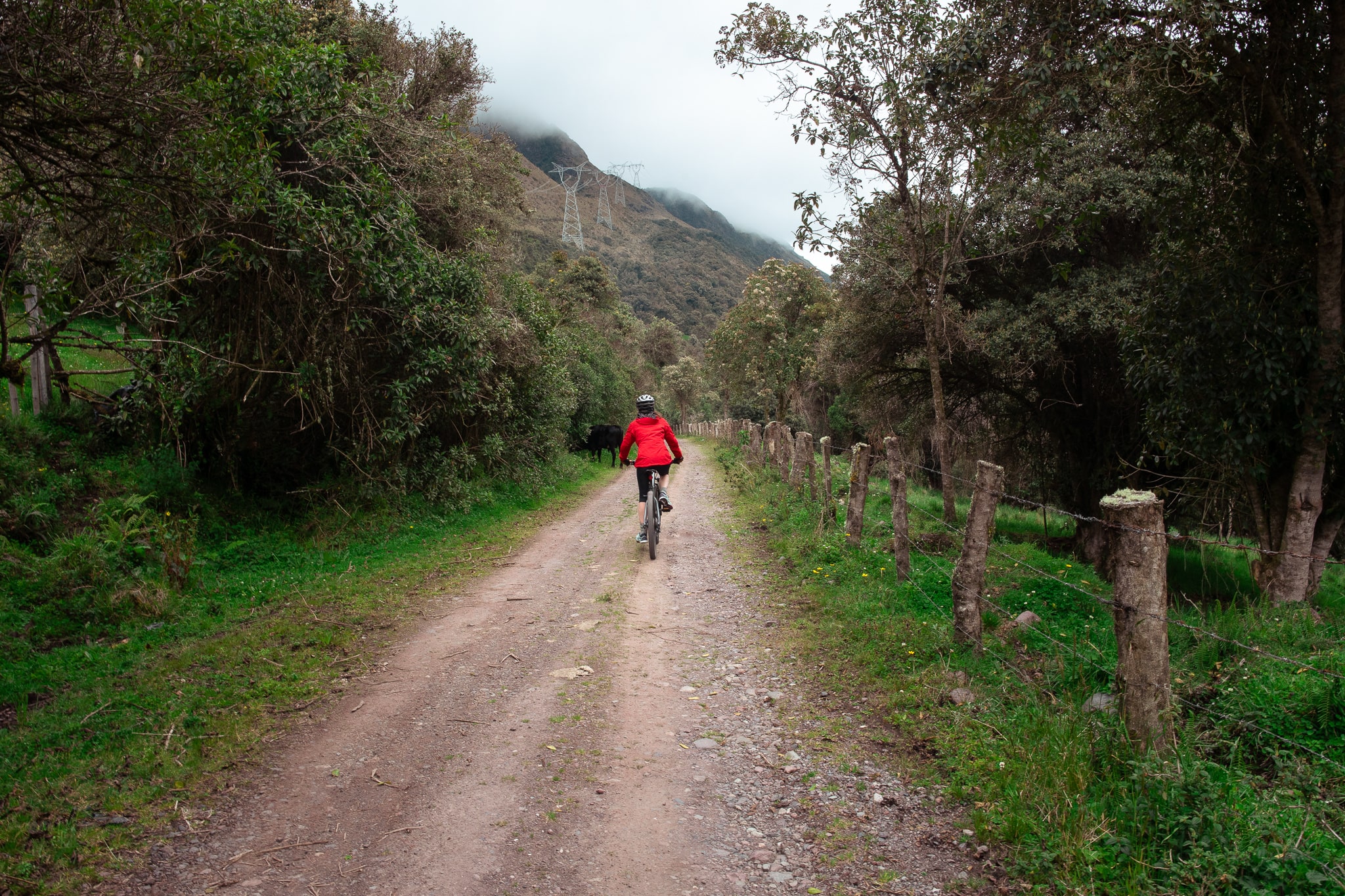 bike-tour-ecuador