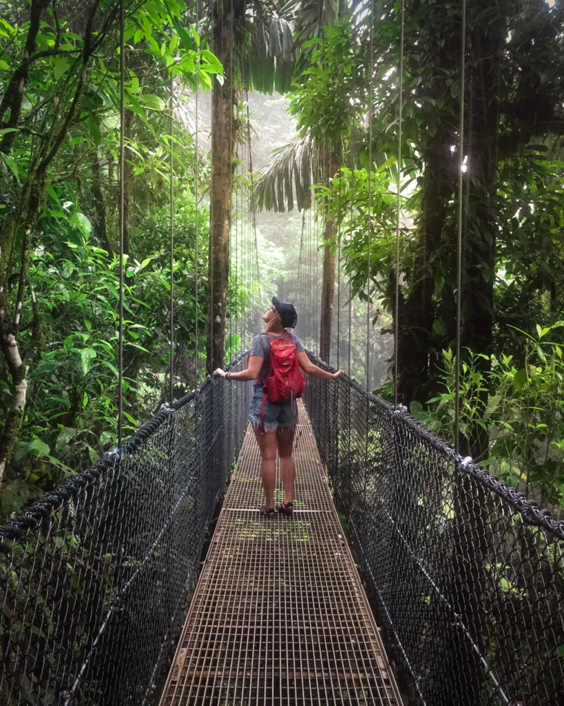 Walk Through the Cloud Forest in Costa Rica: Bucket List Destinations