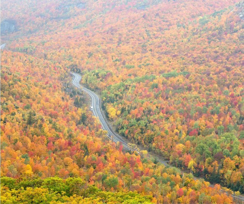 Fall Foliage Map | When and where to see the best fall colors | wnep.com